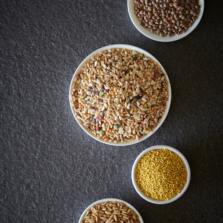 variety of seeds and grains in various bowls